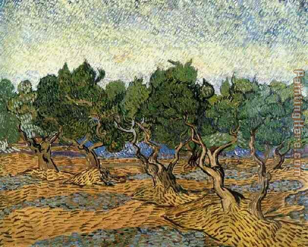 Les oliviers 1 1889 painting - Vincent van Gogh Les oliviers 1 1889 art painting
